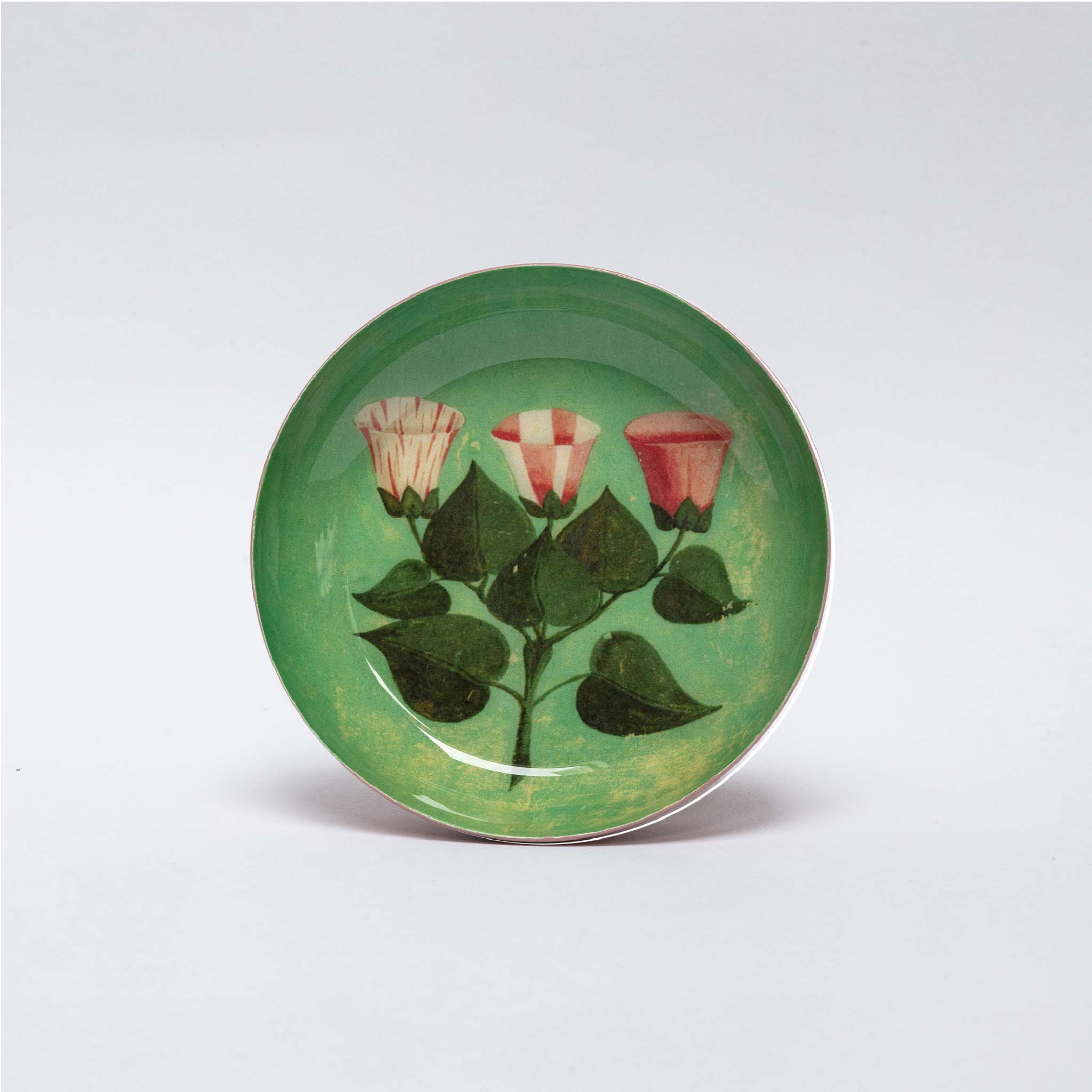 Bandejas esmaltadas ilustradas – colección natural