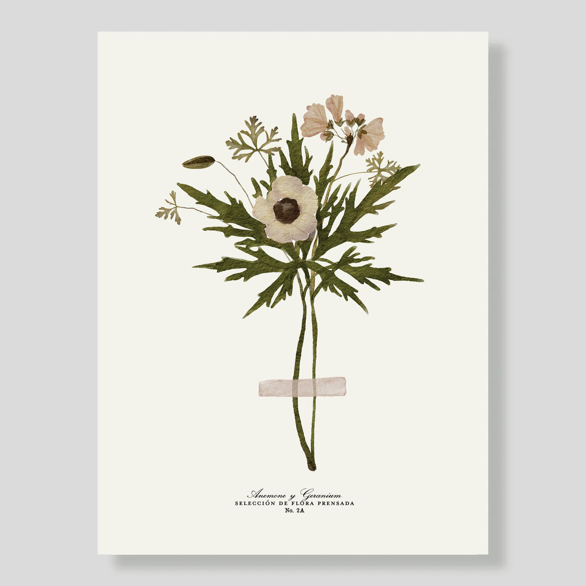 LÁMINA AMAZONAS FIORE 3