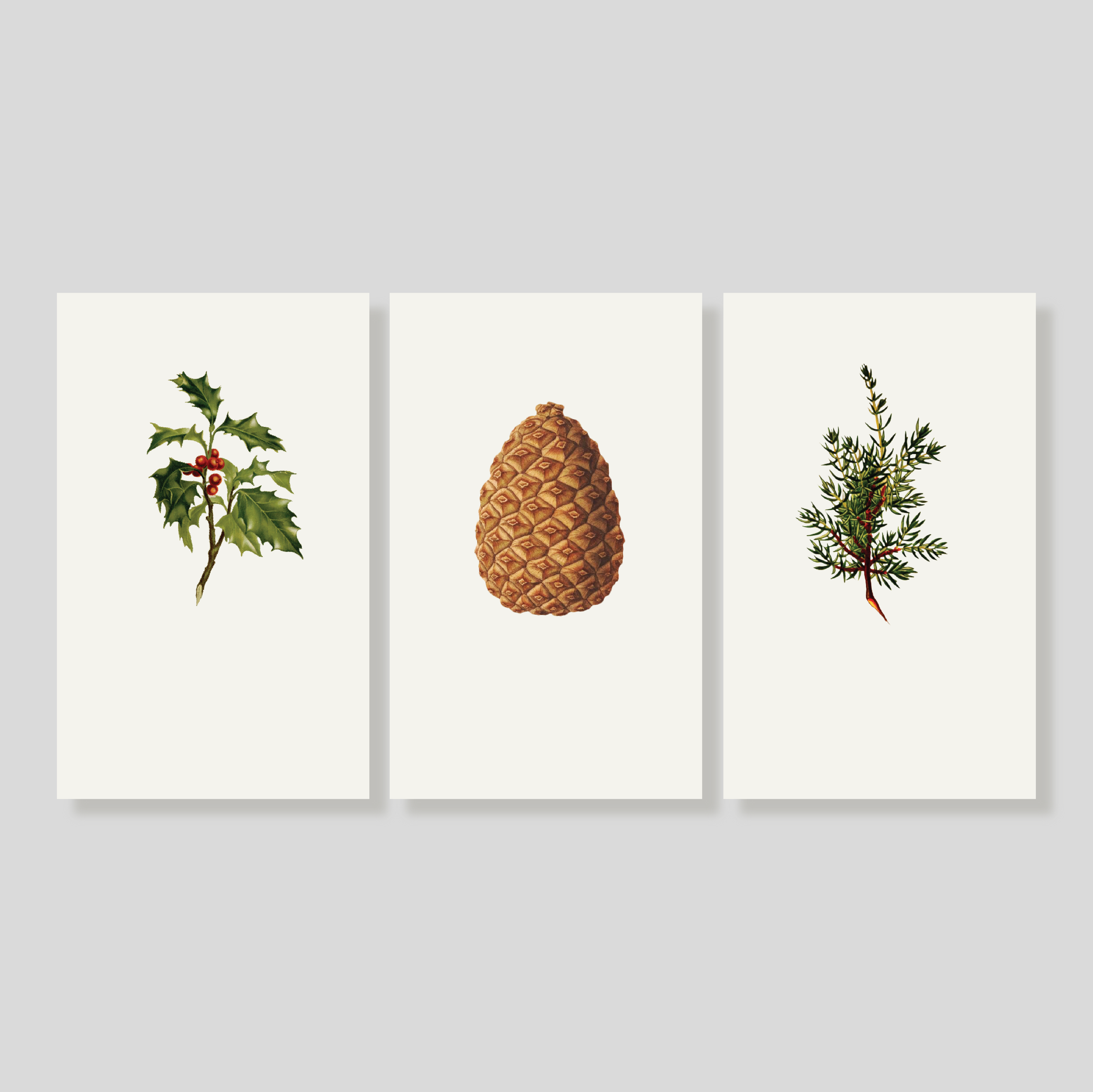 Tarjetas Holly X-MAS