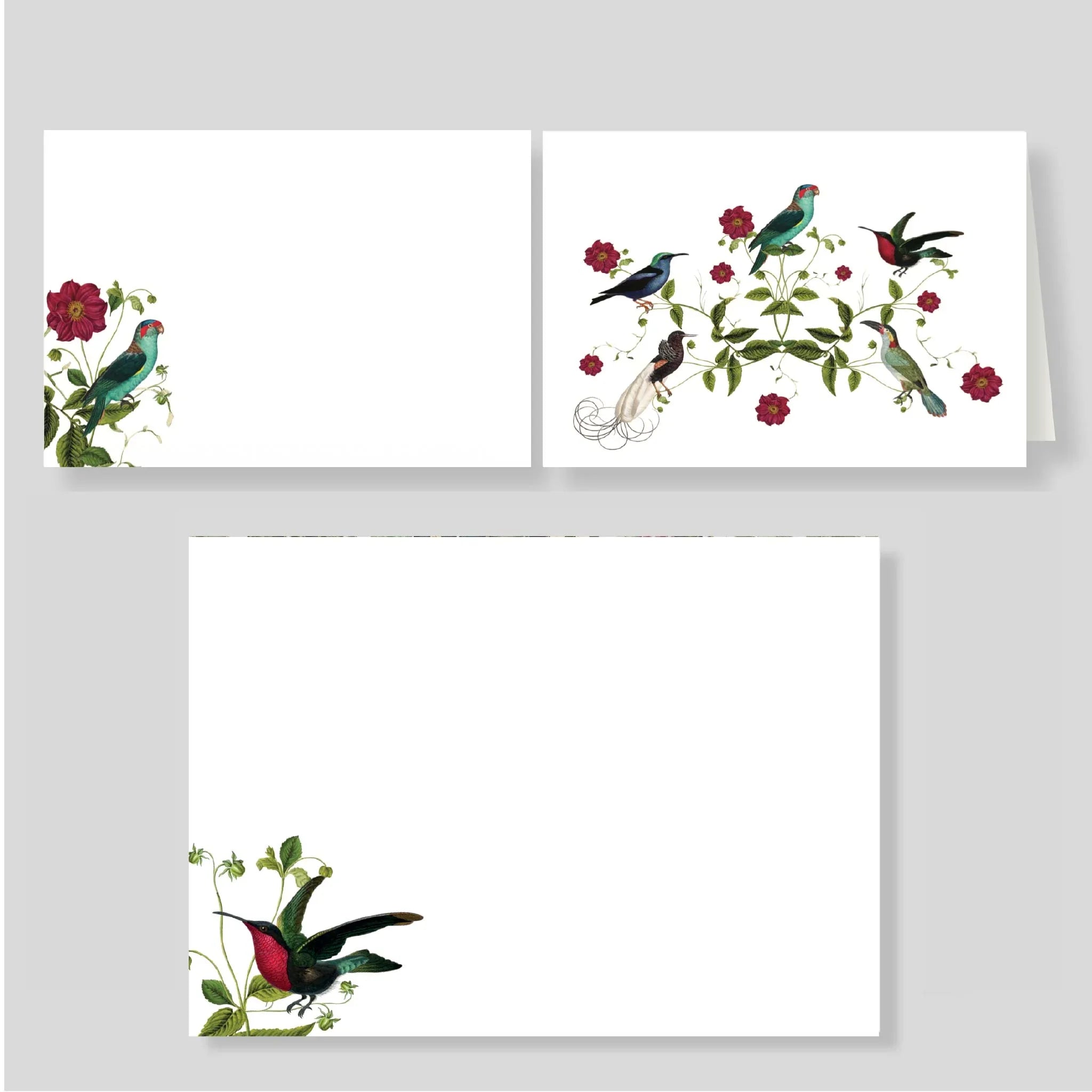 Pack Escritorio Grande Aviario