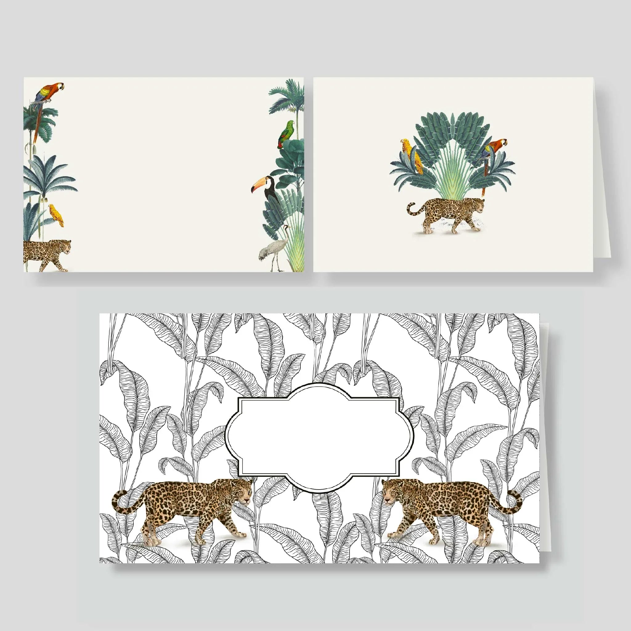 Pack lluvia Amazonas (listos para llevar) (Copy)