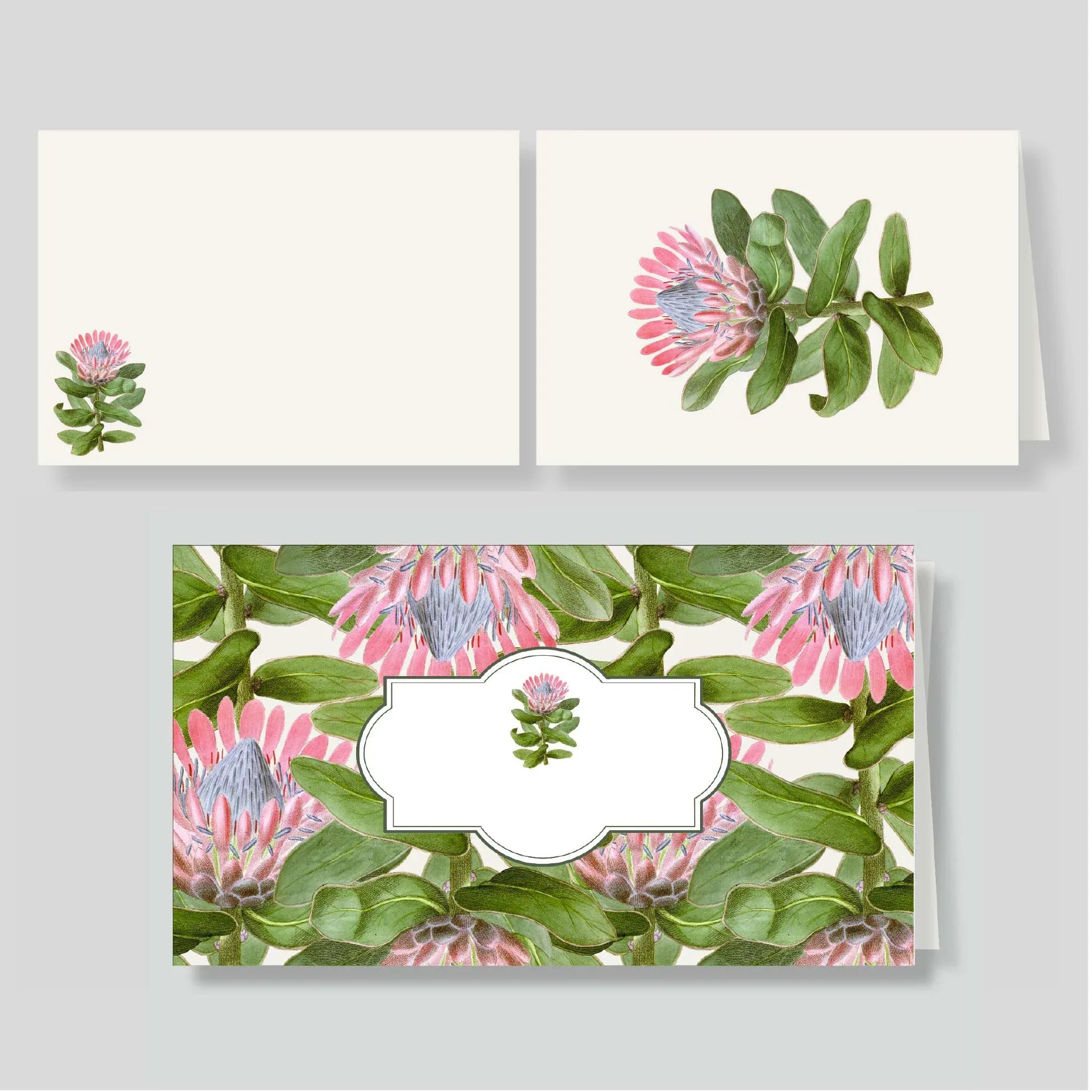 Pack lluvia Protea (listos para llevar)