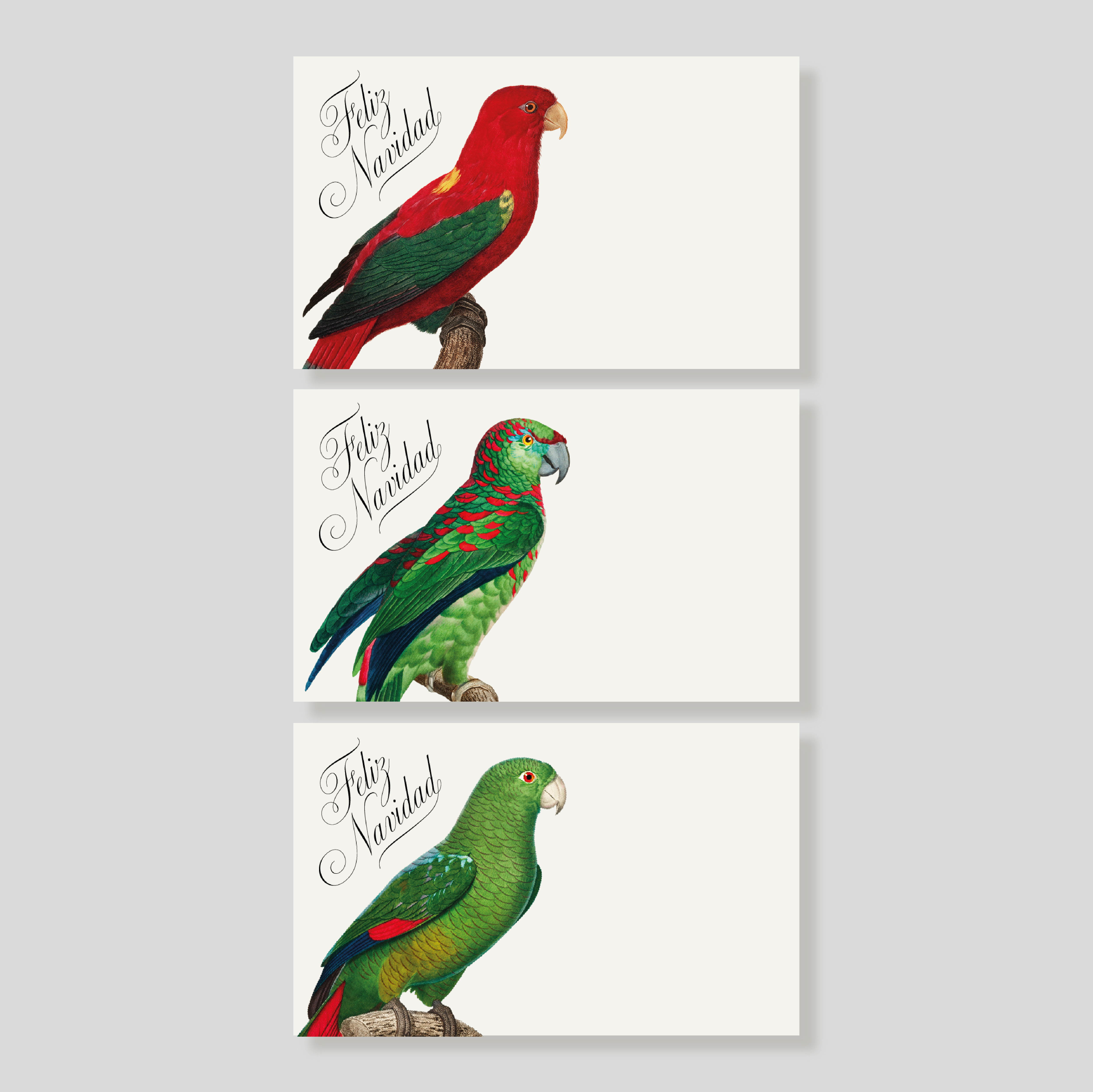 Tarjetas Corona Loros
