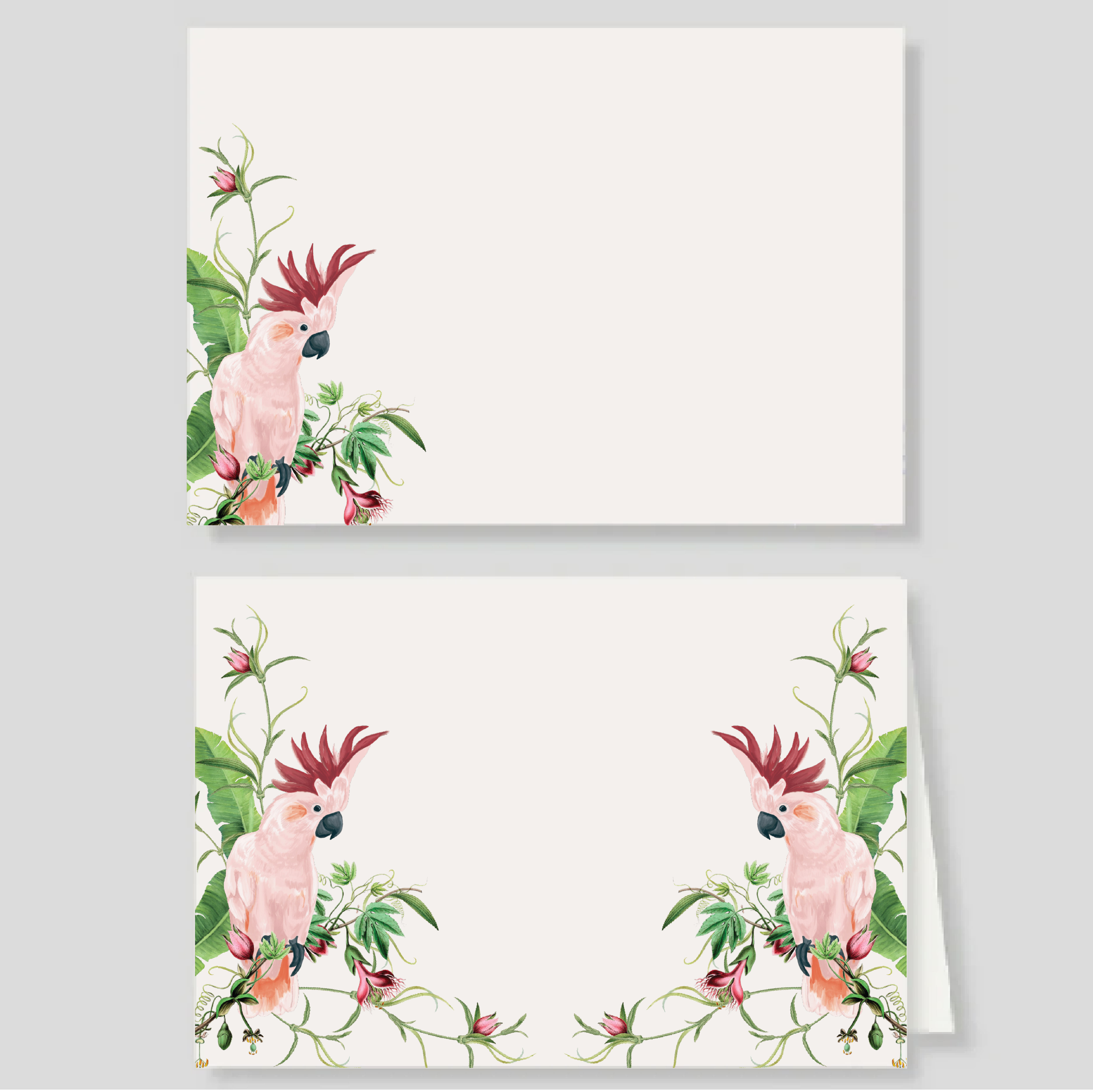 Pack tarjetón doble + sencillo Cacatua Pembe (listos para llevar)