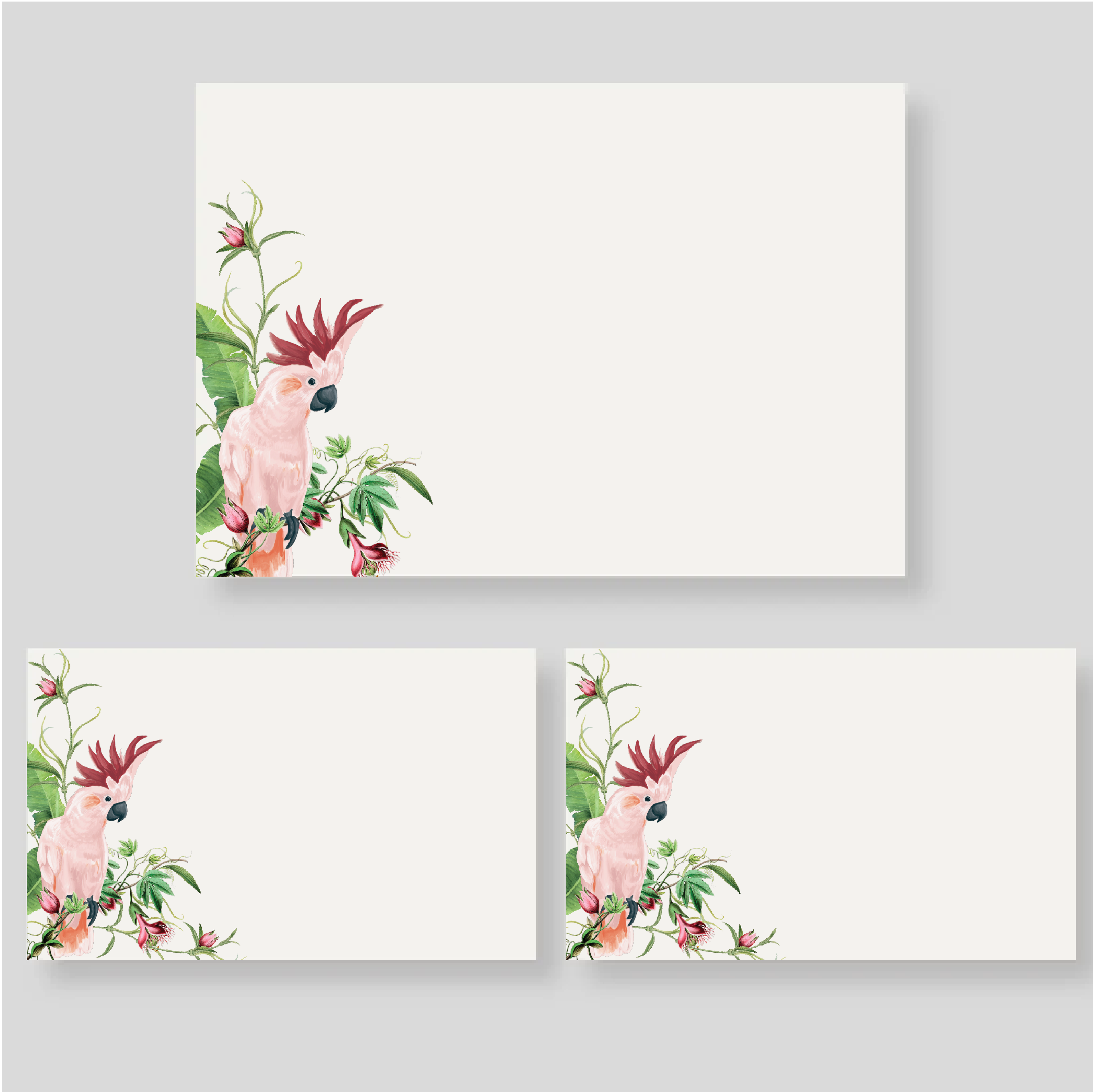 Pack tarjetón sencillo + notas dobles Aviario (listos para llevar)