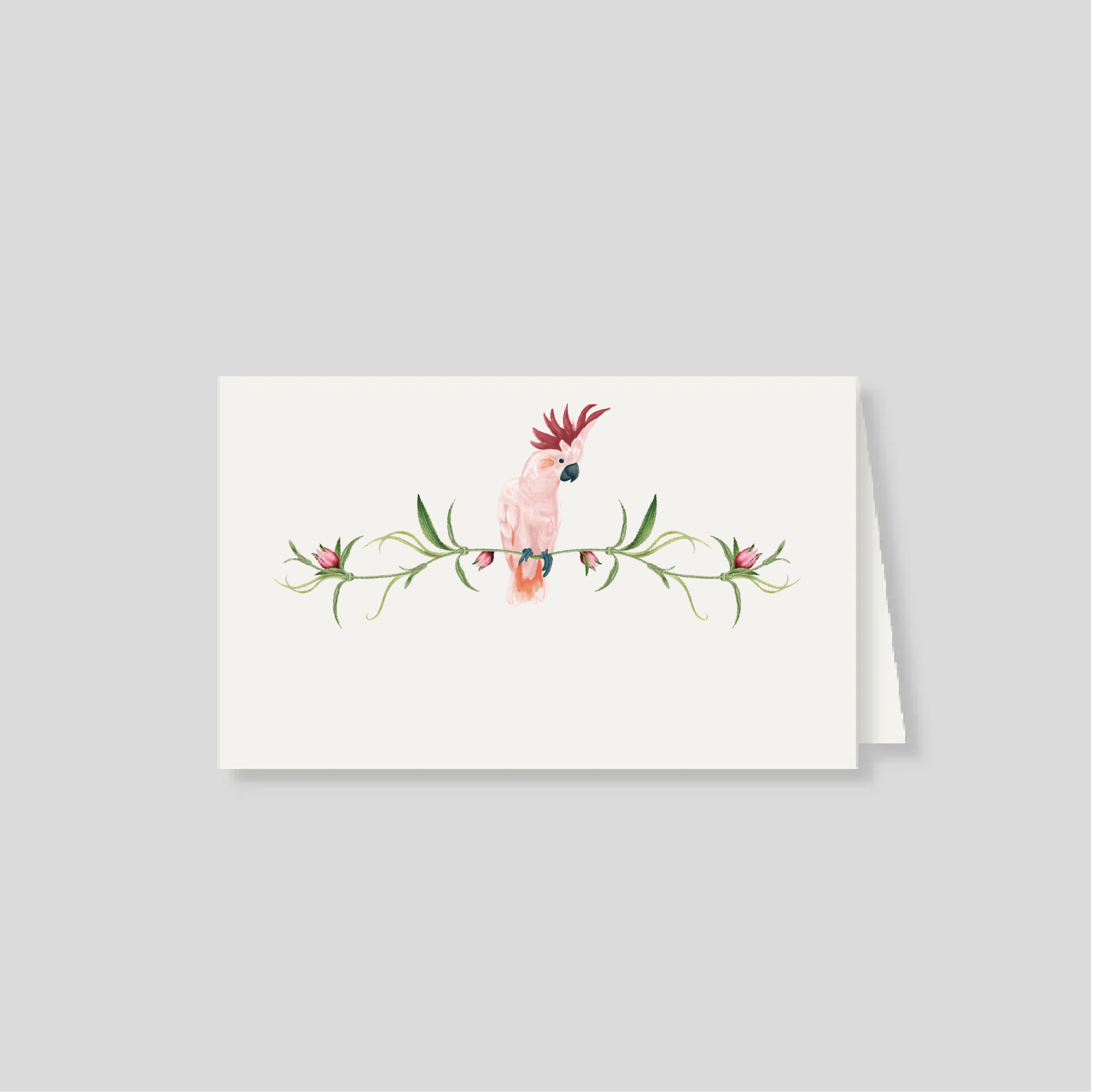 Notas dobles con sobre Cacatua Pembe (Listos para llevar)