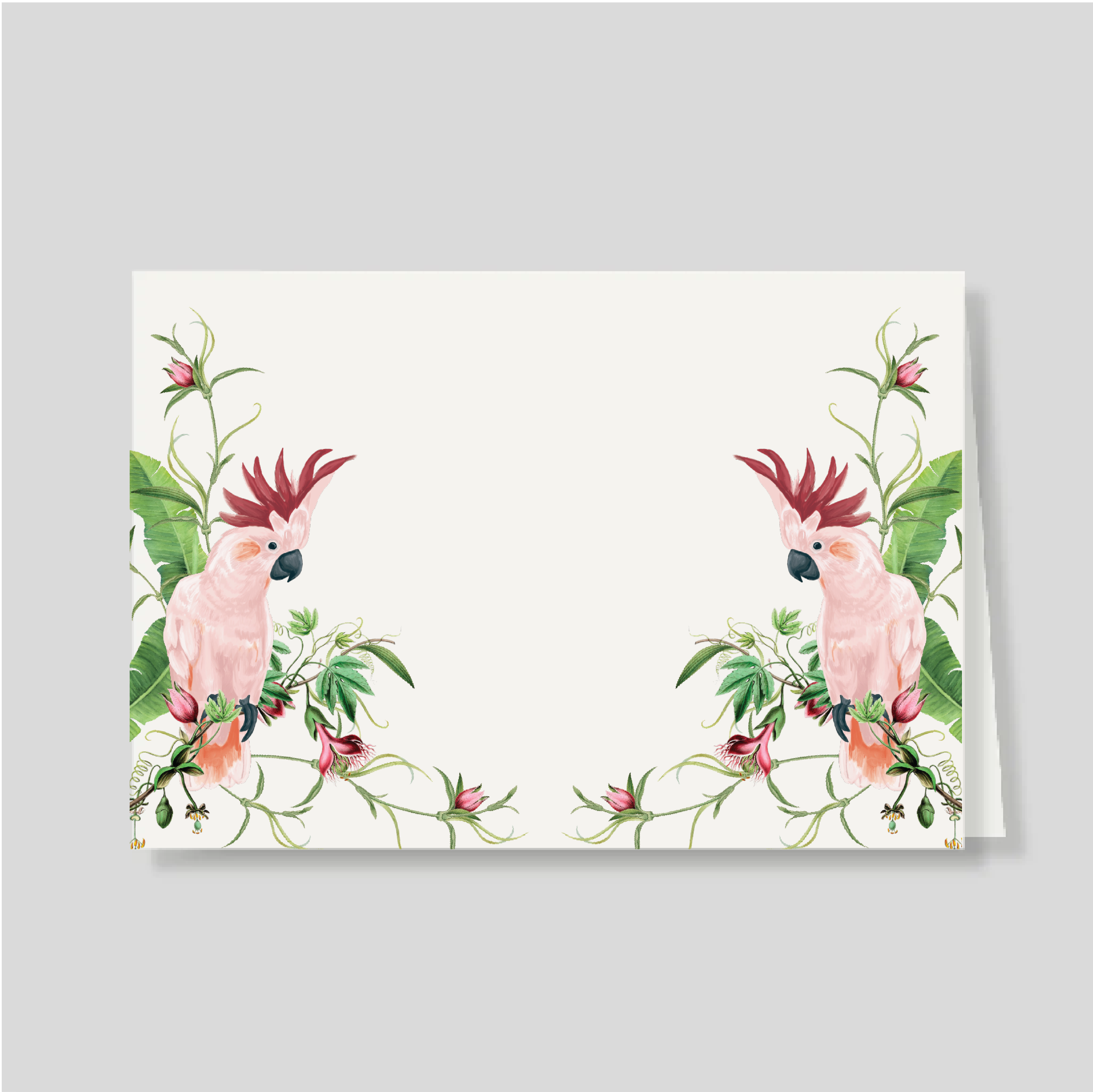 Tarjetón Doble Cacatua Pembe (listos para llevar)