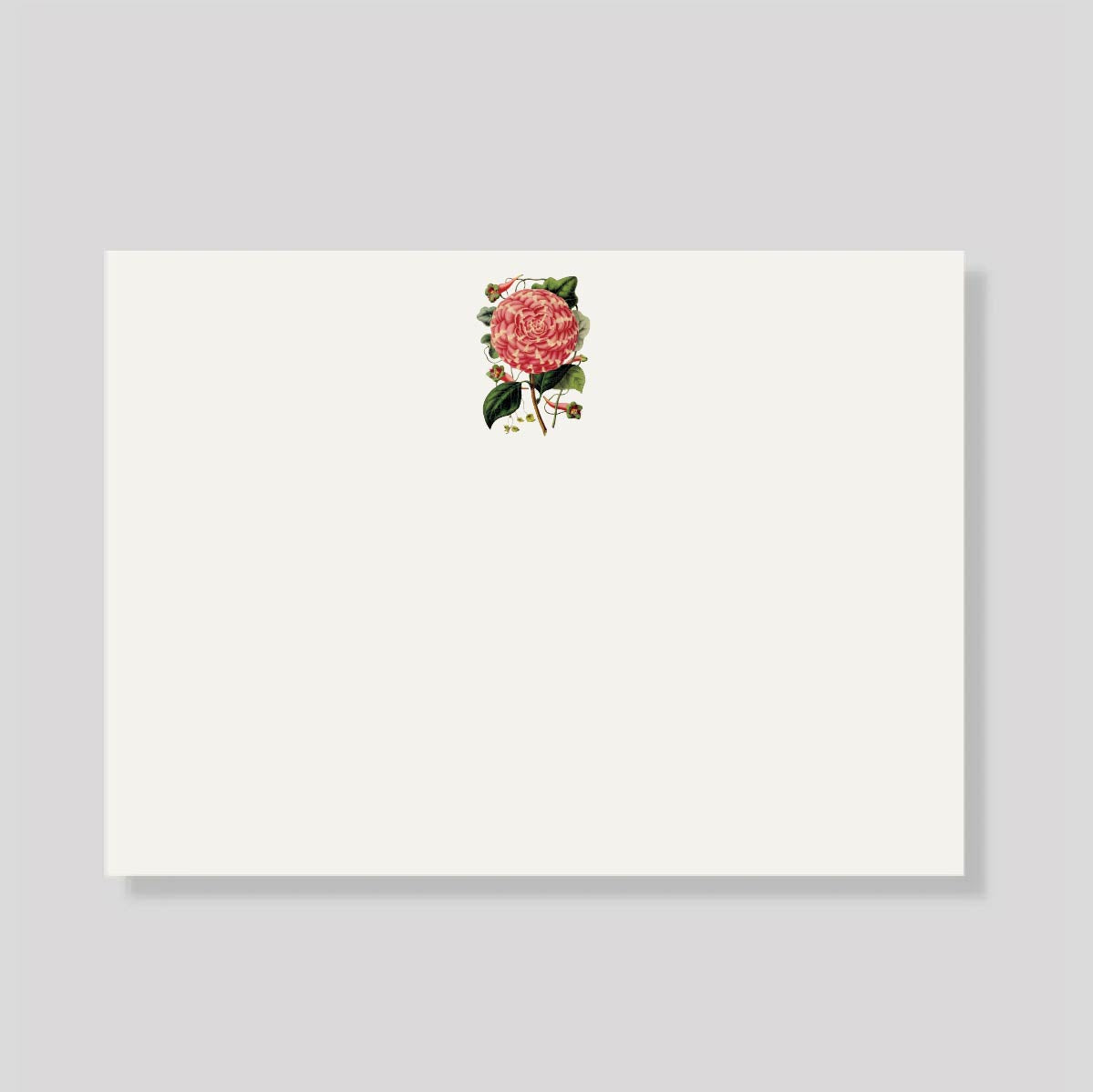 TARJETON XL ROSA DE JARDIN