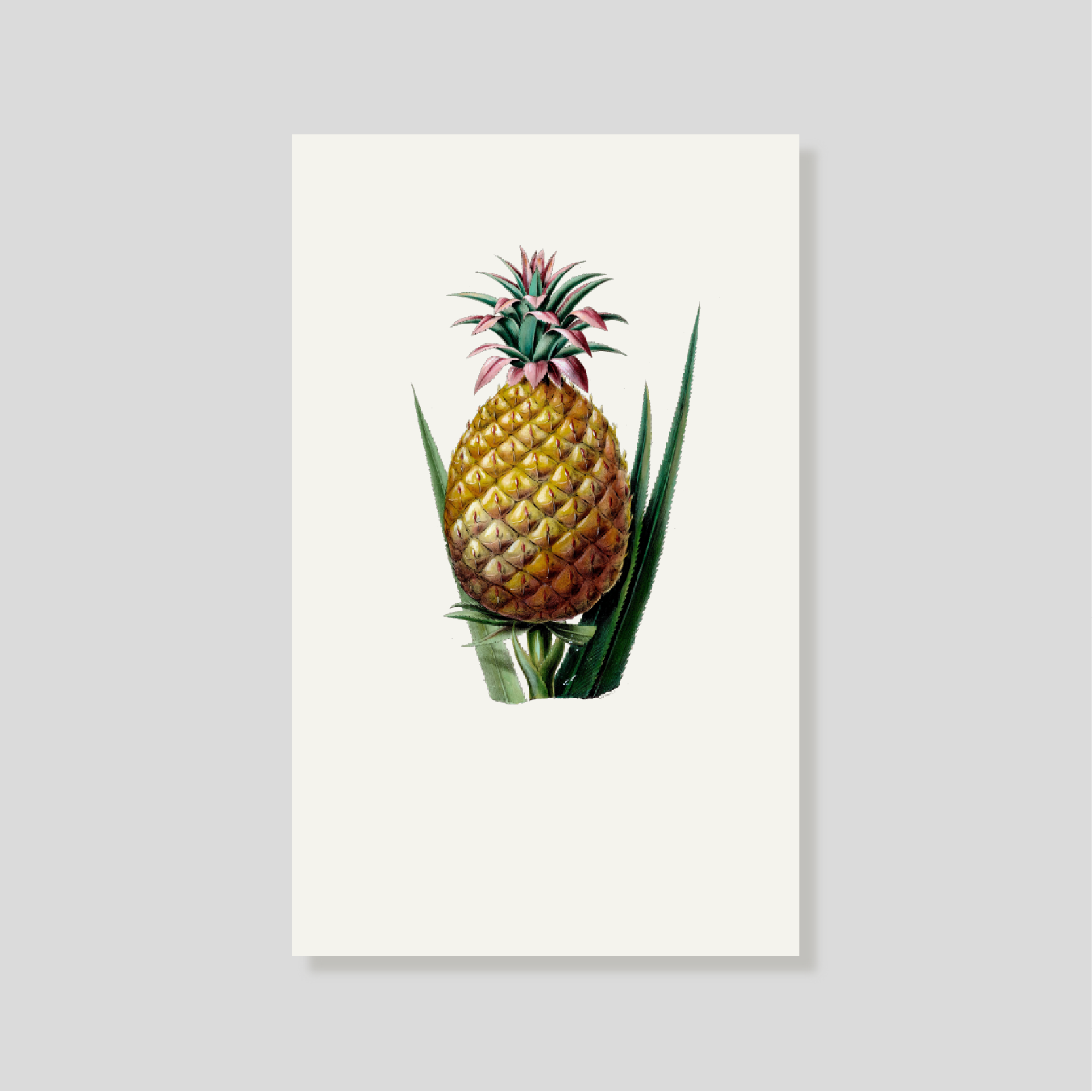 Tarjeta Personal Piña (V)