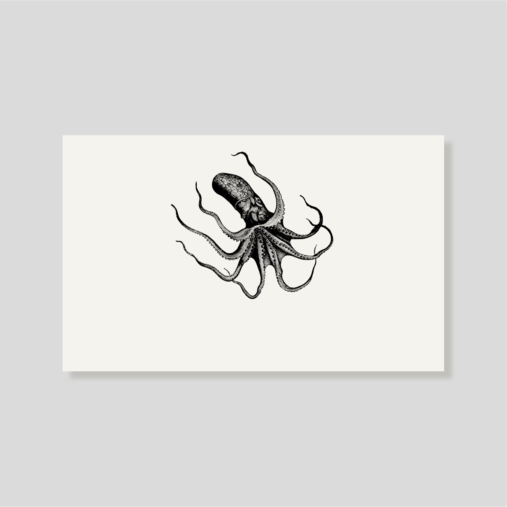 Tarjeta Personal Pulpo (H)