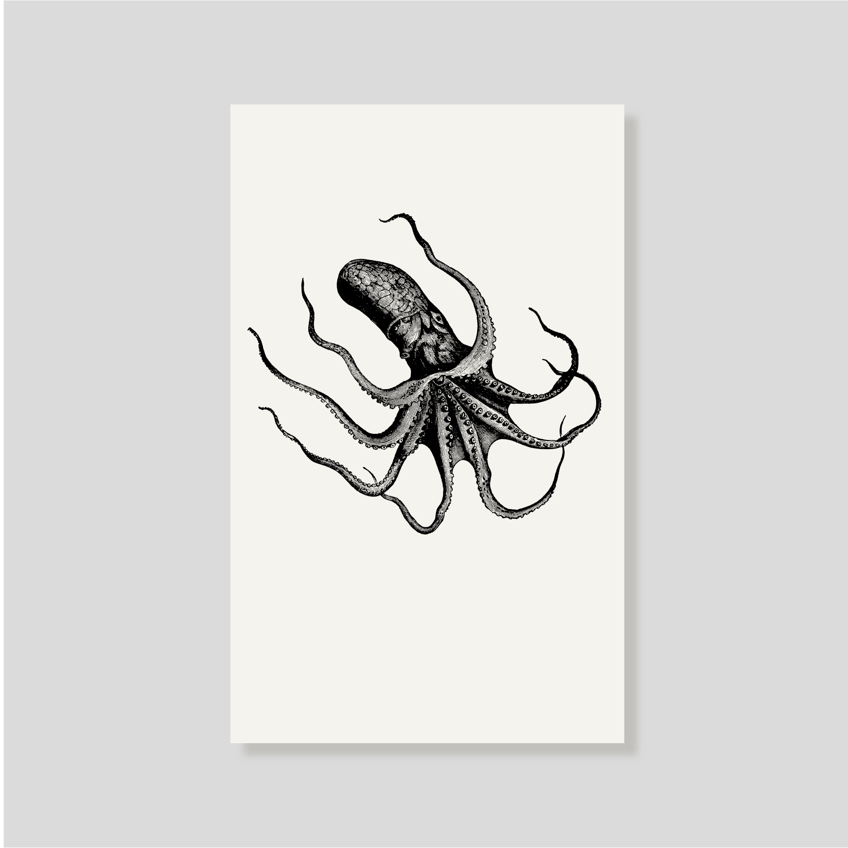 Tarjeta Personal Pulpo (V)