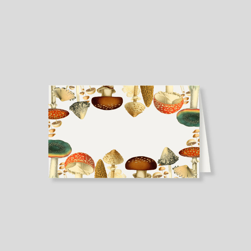 Kit de Thanksgiving Mush