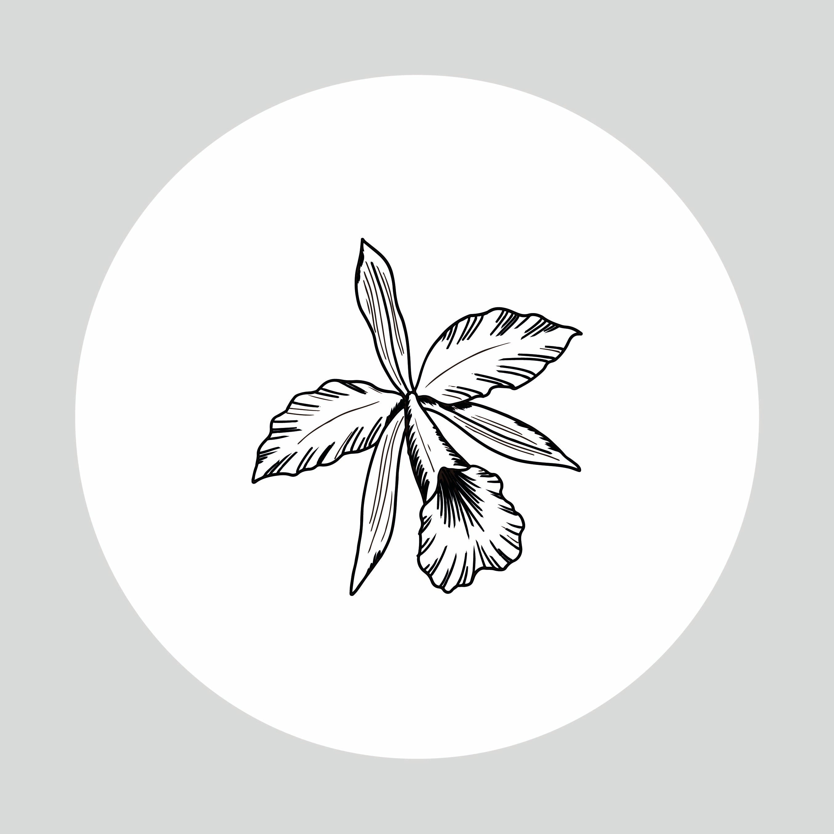 Sello Seco ORQUIDEA