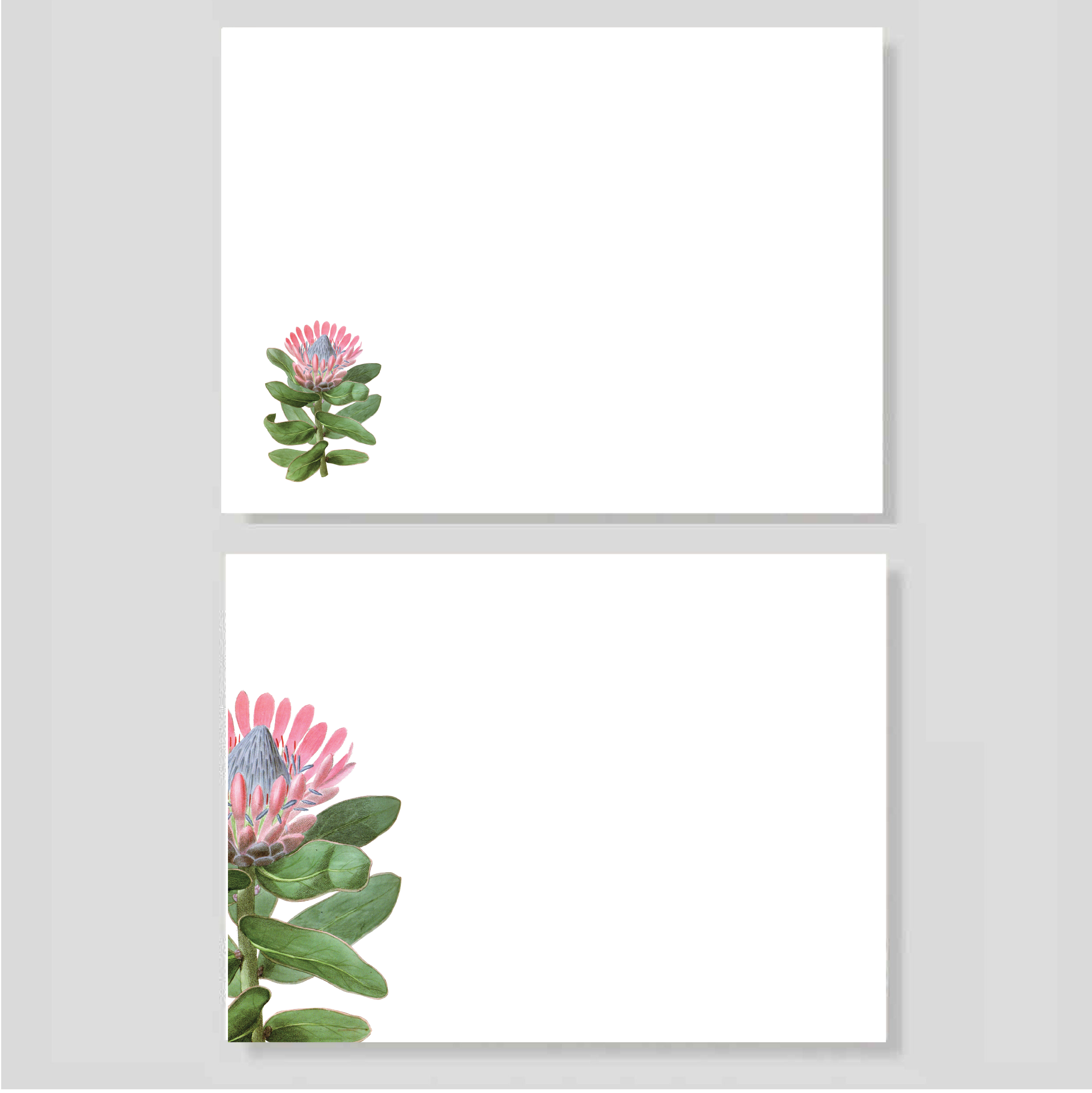 Blocks Protea (listos para llevar)