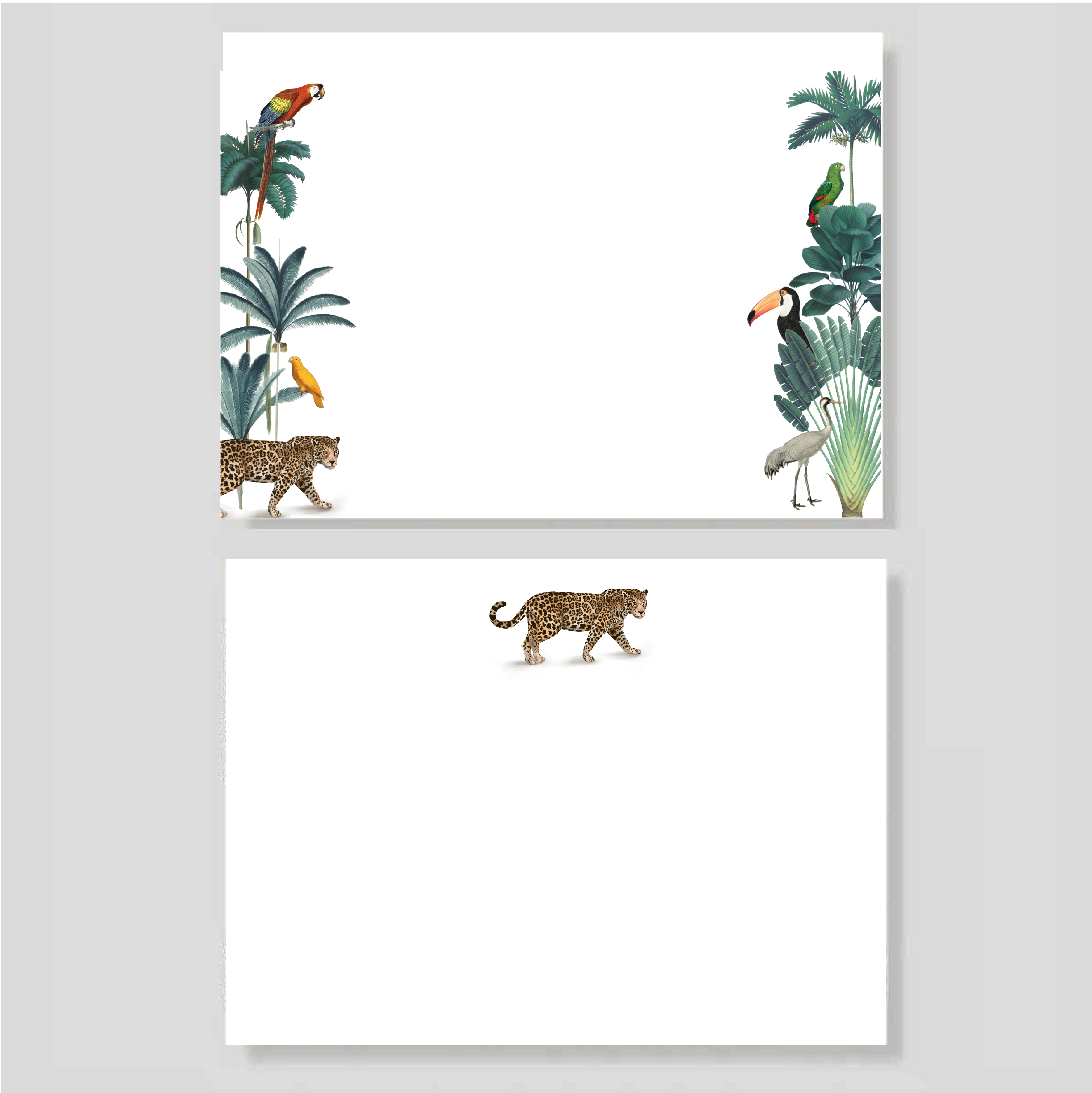 Blocks Amazonas (listos para llevar)