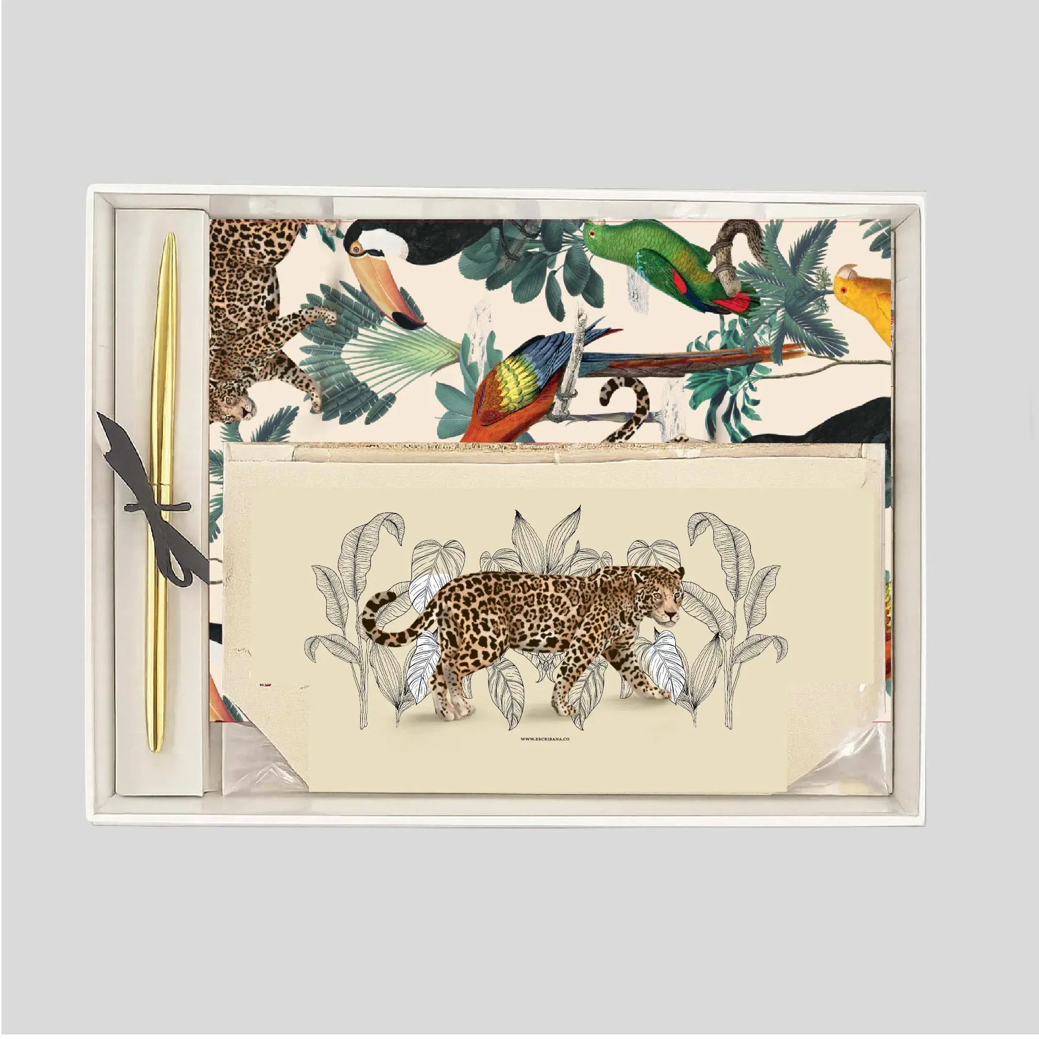 Pack grande cuaderno Amazonas