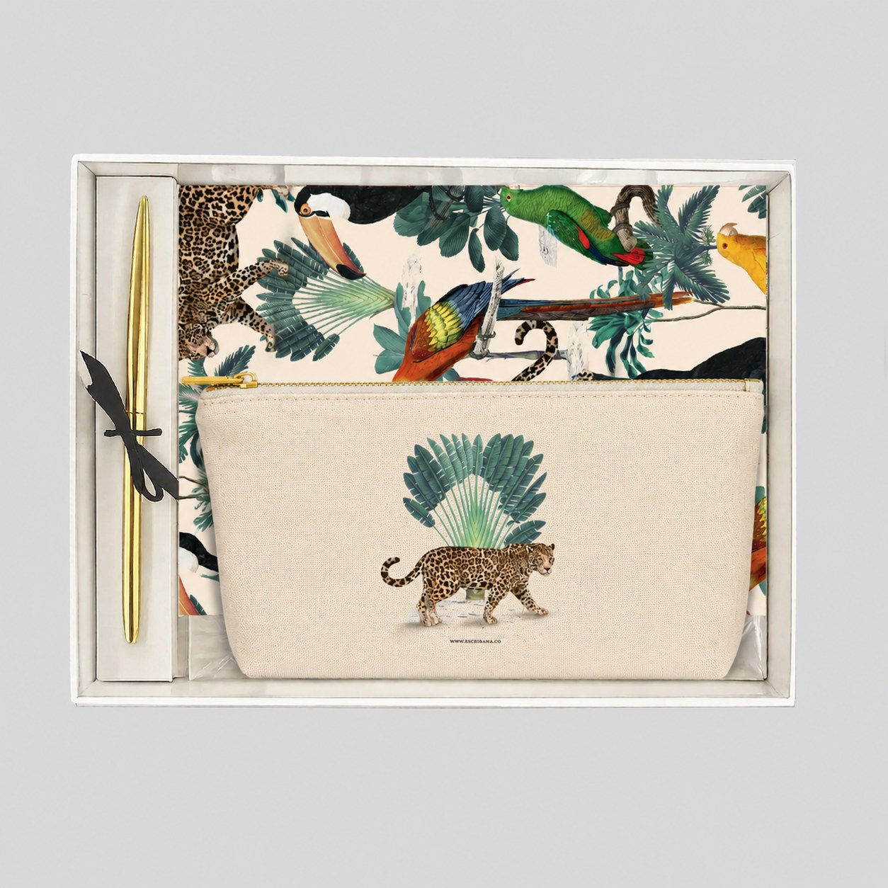 Pack grande cuaderno Amazonas