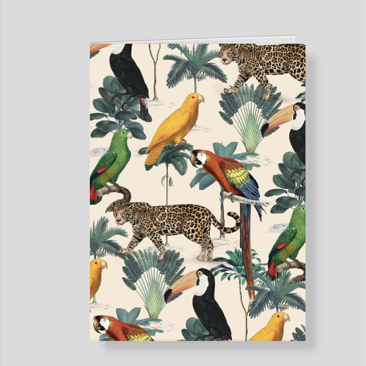 Cuaderno Amazonas Listo para llevar