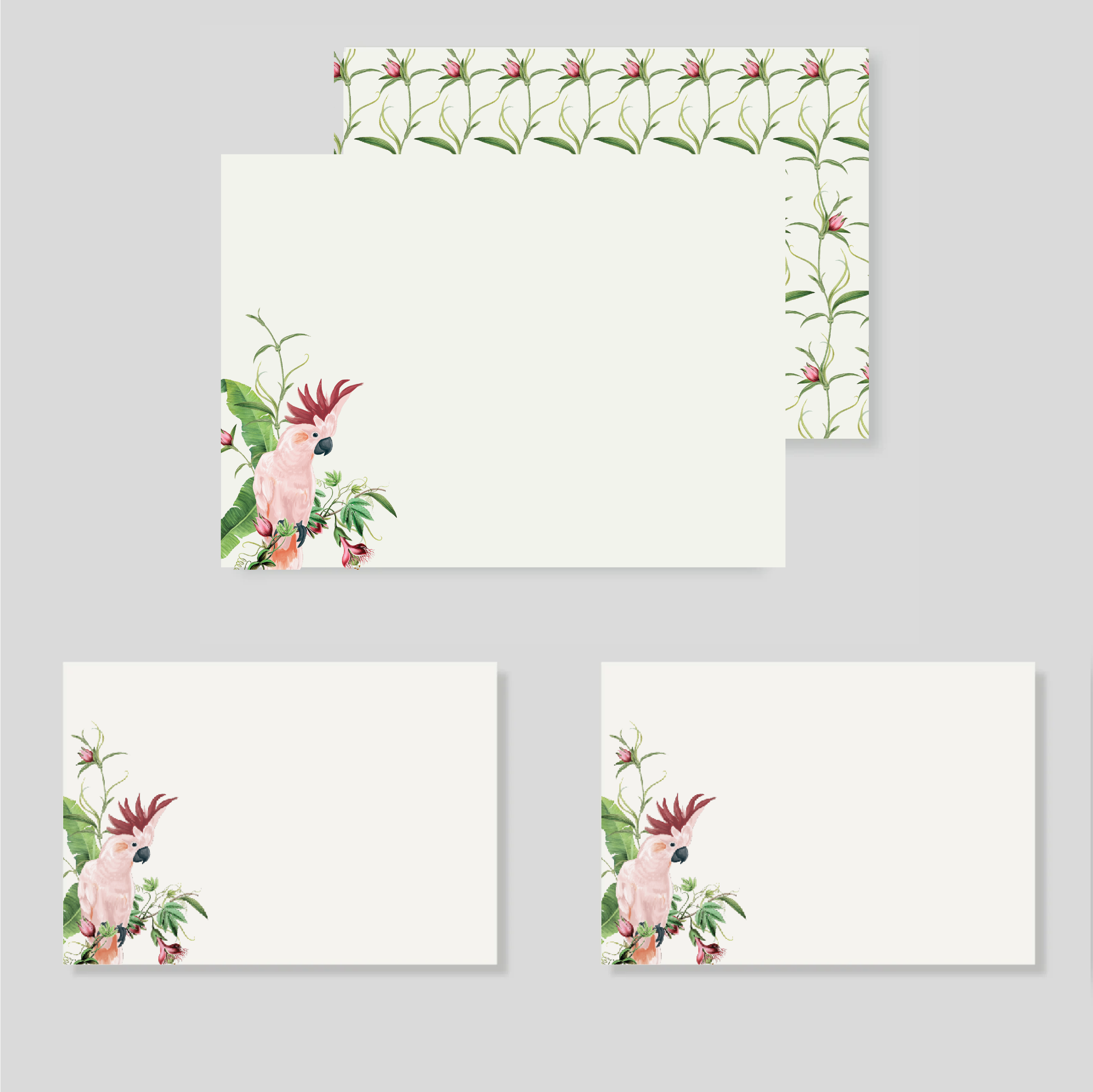 Caja flex XL Cacatua PEMBE