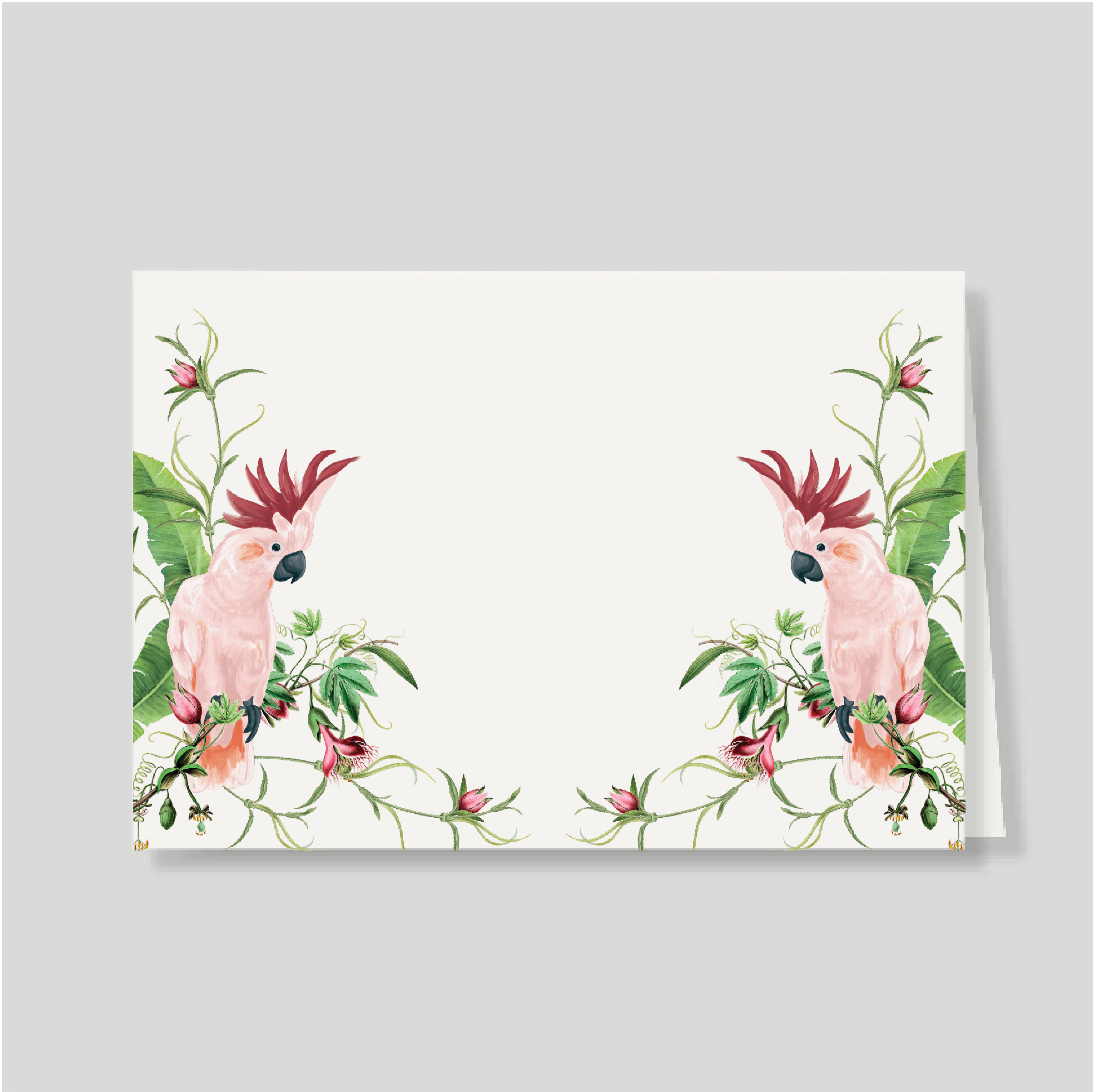 Tarjetón Doble Cacatua Pembe