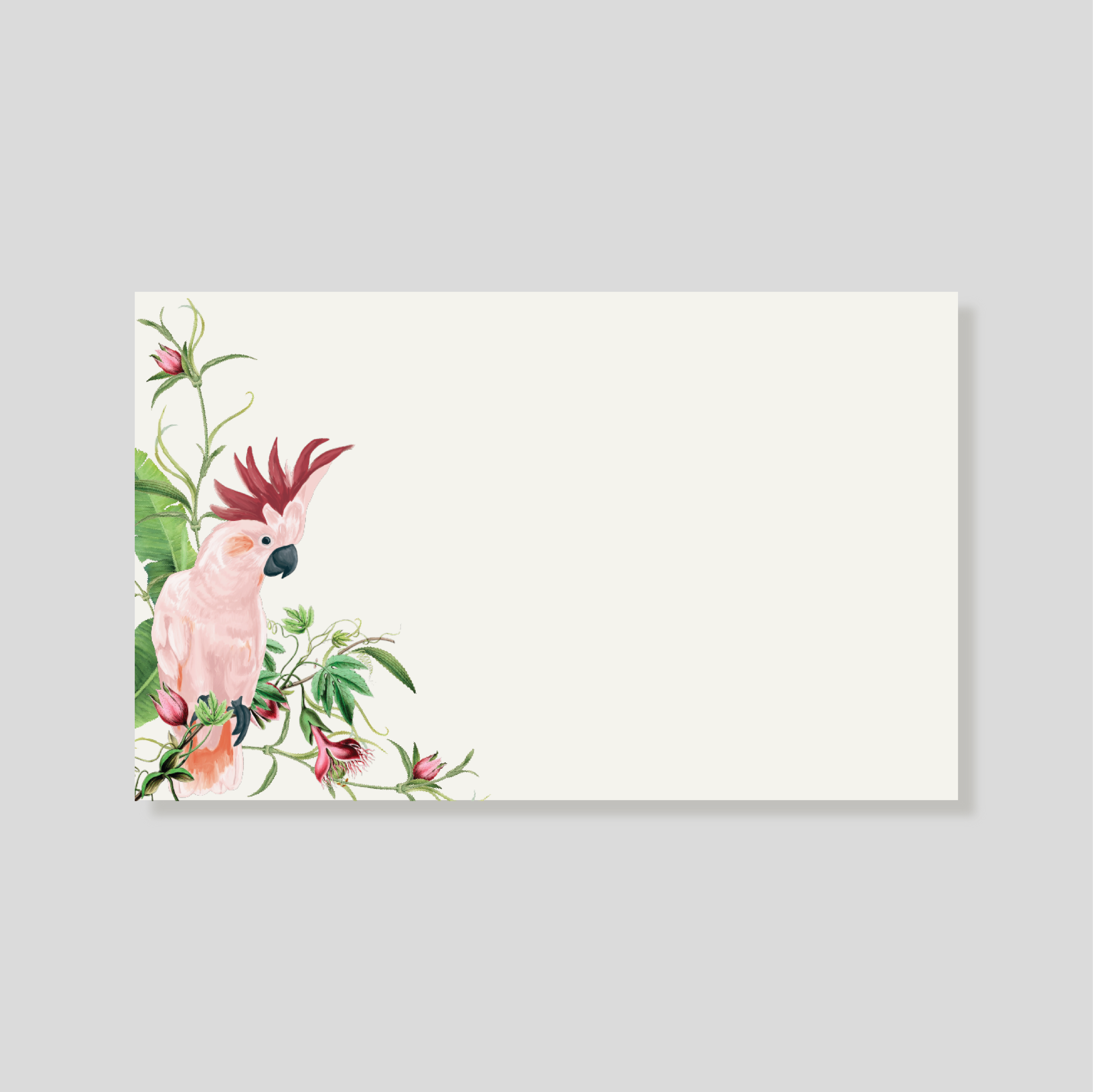 Tarjeta Personal Cacatua Pembe (h)