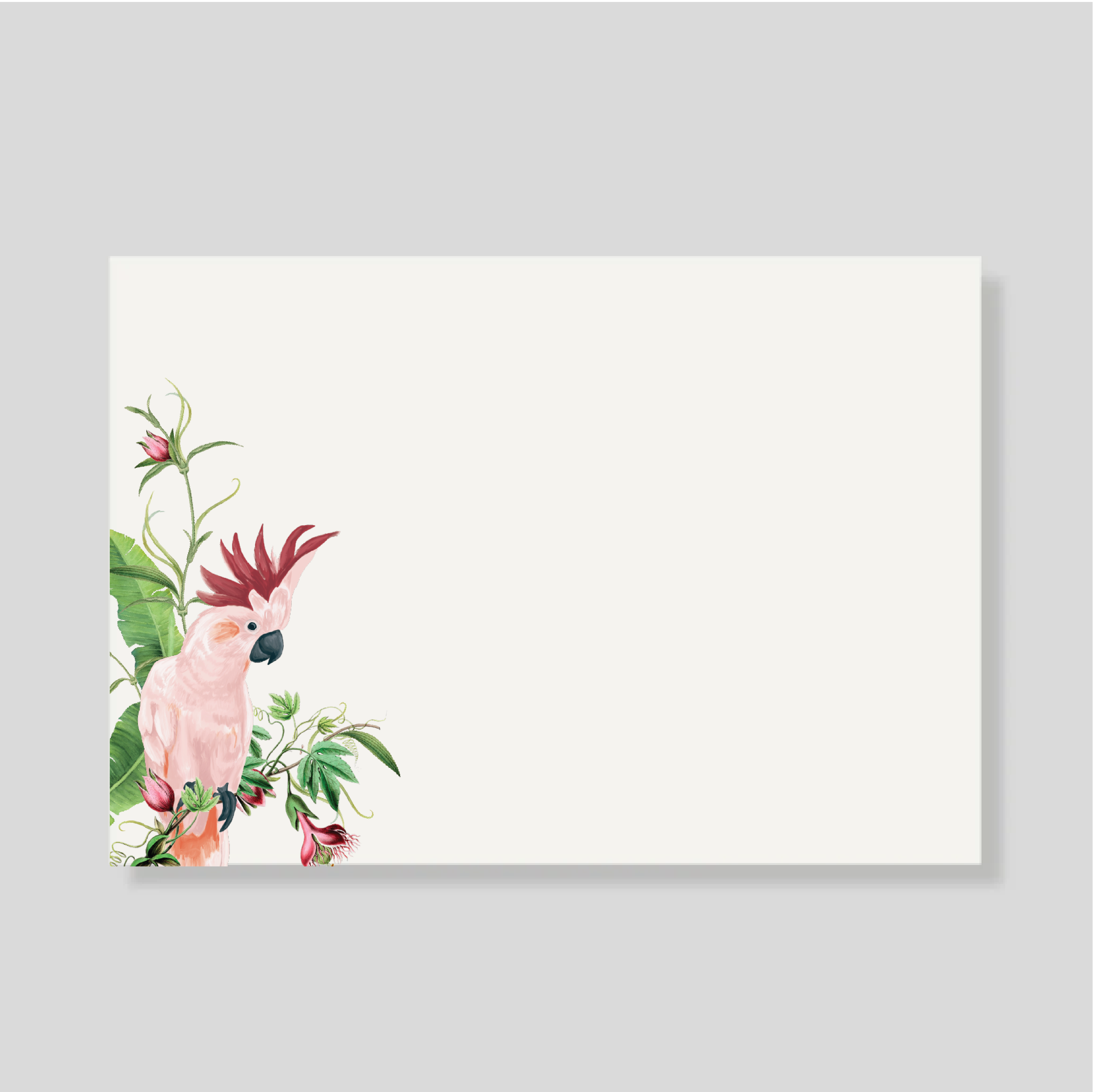 Tarjetón Cacatua Pembe