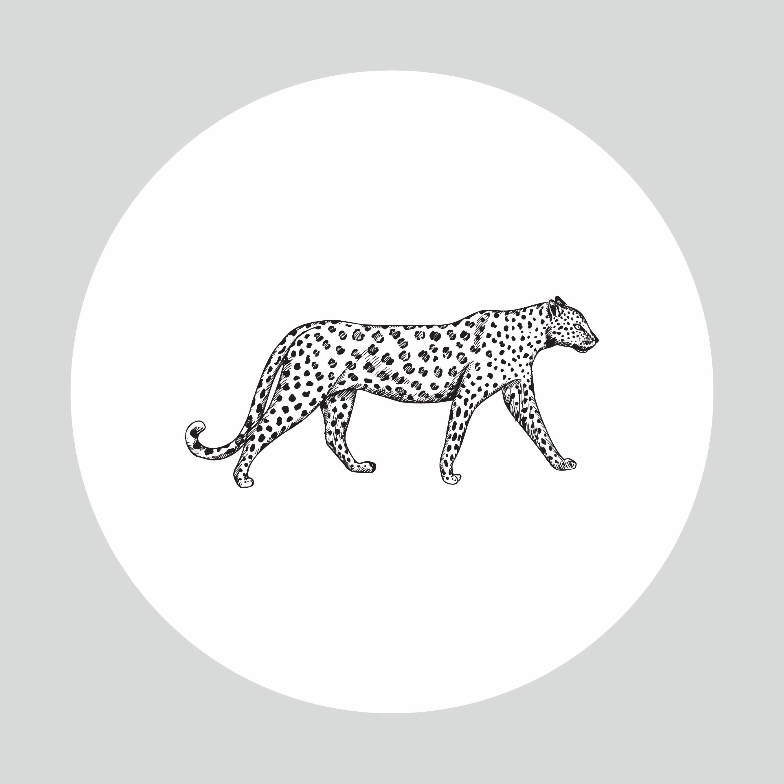 Sello Seco JAGUAR