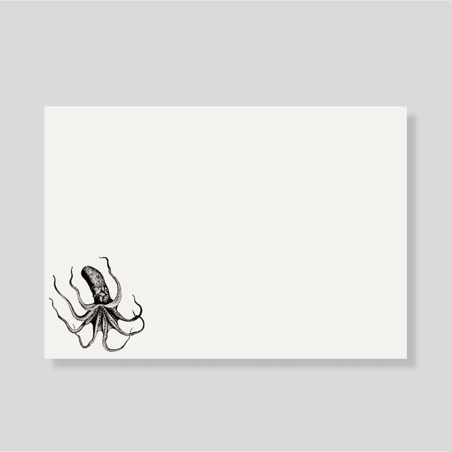 Tarjetón pulpo