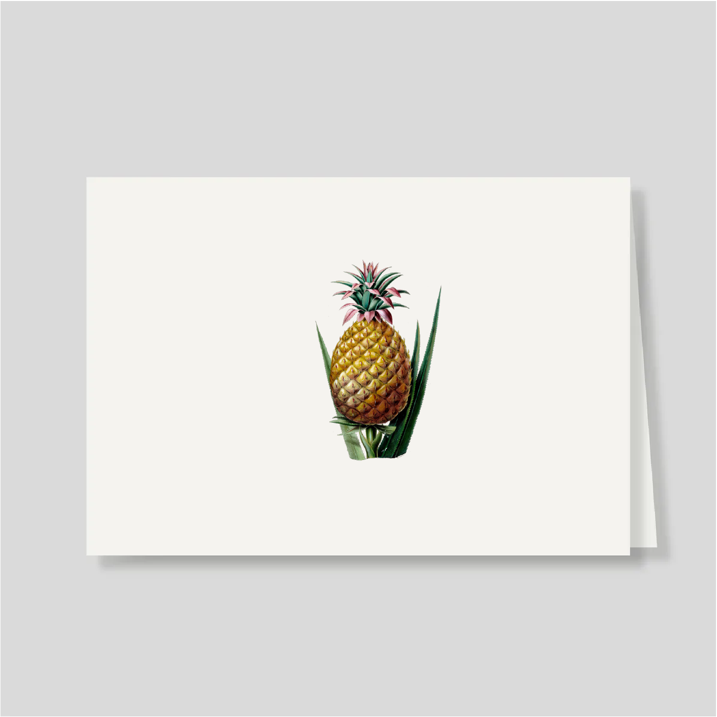 Tarjetón doble Piña