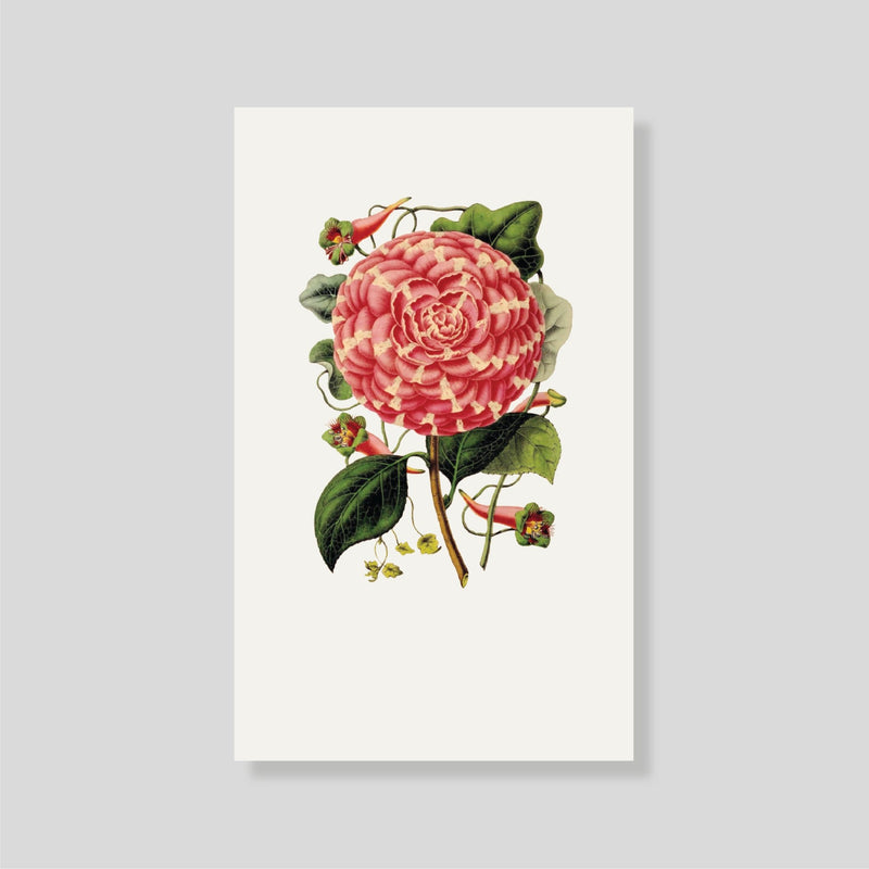 Tarjeta Personal ROSA DE JARDIN - Escribana