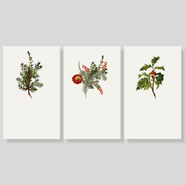 Tarjetas BOTANICAL X-MAS - Escribana